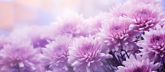 Wall Mural - purple flowers blooming in hd wallpaper