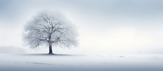 Sticker - Lonely tree in snowy landscape under clear sky