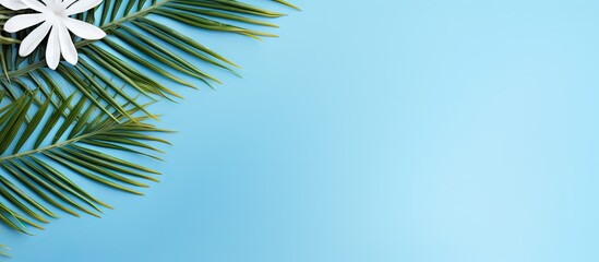 Wall Mural - A palm leaf with white flowers against a blue background