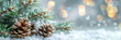 A minimalistic background with white snow and pine cones on light green blured bokeh background, Christmas decorations. banner