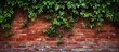 Old Red Brick Wall Fragment with Plant Background Texture