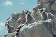 Lemurs Enjoying a Sunbath