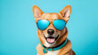 Portrait of adorable funny dog wearing sunglasses isolated on light cyan. Copyspace.