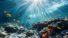 Underwater Scene. Coral Reef, Colorful Fish Groups