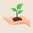 © Axel - Hand holding plant for save nature or plant in hand vector icon