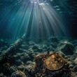 A single Bitcoin coin positioned amidst rocks on the ocean floor, bathed in beams of sunlight filtering through water.
