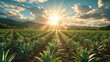 A pineapple farm, rows of spiky plants under a sunny sky. Generative AI.