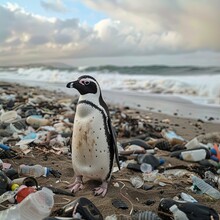 Penguin On The Beach With Garbage, Plastic Waste. Generative Ai