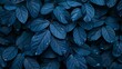 blue leaves background