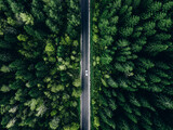 Fototapeta Na ścianę - Aerial view green summer forest and asphalt road with car
