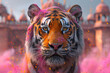 A bengal tiger in India with colored powder explosion on holi Festival of Colors parade