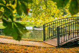 Fototapeta Młodzieżowe - Metal bridge over pond, yellow leaves on the ground. Autumn, leaf fall concept