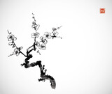Fototapeta Sypialnia - Ink painting with plum blossom branch. Traditional oriental ink painting sumi-e, u-sin, go-hua with sakura branch on white background Hieroglyph - bloom.
