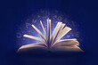 © Pavel Losevsky - Open book and flying particles and letters, collage