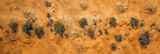 view from above, aerial photography, desert with sand, drought, barchans and dunes, cracked arid land with bushes, orange texture