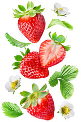 Wall Mural - Juicy flying strawberry, whole and cut berries with leaves and flowers, isolated on a transparent background.