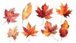 Set of watercolor clip art, autumn leaves isolated on a white background 
