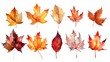 Set of watercolor clip art, autumn leaves isolated on a white background 