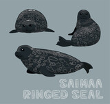 Fototapeta Pokój dzieciecy - Saimaa Ringed Seal Cartoon Vector Illustration