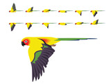 Fototapeta Pokój dzieciecy - Bird Parrot Sun Conure Parakeet Flying Animation Sequence Cartoon Vector