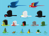 Fototapeta Pokój dzieciecy - Parrots Bird Flying Size Comparison Set Vector