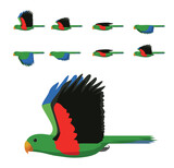 Fototapeta Pokój dzieciecy - Bird Parrot Eclectus Green Flying Animation Sequence Cartoon Vector