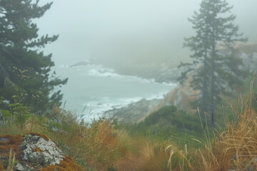 Wall Mural - coastal rainy landscape, foggy morning on a steep bank, blurred background