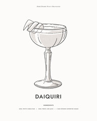 Daiquiri. A classic cocktail in an elegant wine glass, garnished with lime zest. Popular alcoholic drink. Illustration for drinks cards, bar and wedding menus, cards and website graphics.