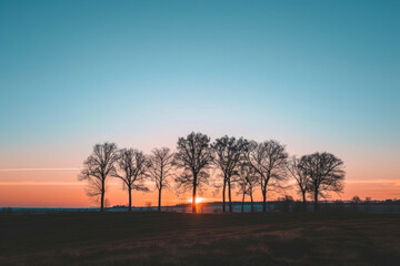 Wall Mural - A serene landscape featuring the silhouette of trees against a dusk sky with the setting sun.