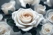 the pure beauty of a white rose with gracefully arranged petals, rendered in high-definition
