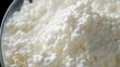 A detailed close up of a bowl of cottage cheese. Great for healthy eating concepts