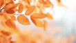 Detailed view of a leafy tree with orange leaves. Suitable for nature and autumn-themed projects