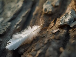 Poster - a white feather resting on a piece of wood