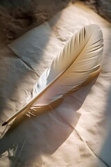 Wall Mural - a white feather resting on a piece of paper