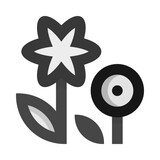 Fototapeta Kosmos - Flowers Flat Icon