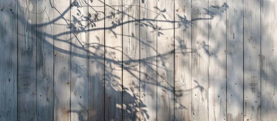 Poster - A tree branch creates a shadow on a wooden fence, forming a unique pattern of light and dark. The natural art contrasts with the manmade building facade nearby