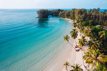 Wall Mural - Aerial Beach and coconut trees on a calm island in the morning