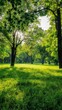 © lililia - a green field enveloped by lush trees, captured in a realistic photograph that evokes a sense of peace and harmony.
