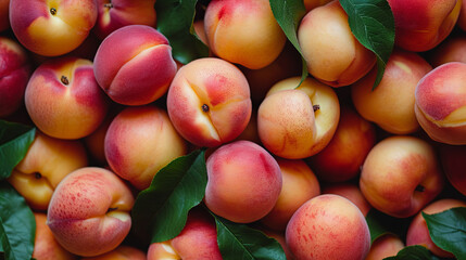Wall Mural - peach fruits on the market 