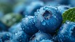 A closeup of plump blueberries, their deep blue hues intensified by dew drops. AI generate illustration