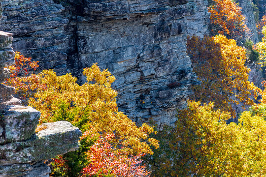 Cliffside view of autumn foliage at Mount Magazine State Park.