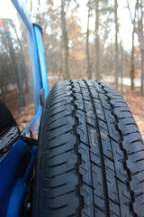 Wall Mural - Spare Wheel Mounted On A Trunk Door Of Car In Forest 