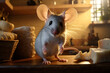 pest concept, mouse house, mouse kitchen, Household pest, concept rodents