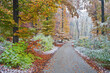 Österreich, Niederösterreich, Wienerwald, Schnee, Herbst, Blätter