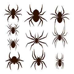 Wall Mural - flat design spider silhouette collection