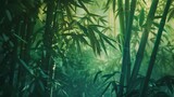 Fototapeta Sypialnia - Bamboo Trees in a Forest