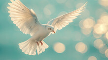 A White Dove Flies Against A Blue Sky, A Symbol Of Peace