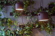 Close up interior space with black lamps and the green plants around the space. Selective focus.