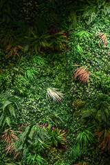 Wall Mural - Varios green leaves decoration for natural background. Seamless pattern