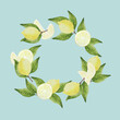 Corona de limones, gajos y hojas pintados a mano con acuarelas sobre fondo celeste mint, fresco y veraniego. Se puede usar para escribir un mensaje en su interior.